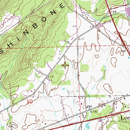 Topographic Map of Town of Leesburg, AL