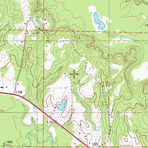 Topographic Map of Town of Lisman, AL