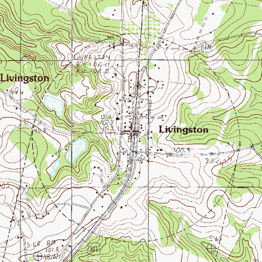 Topographic Map of Town of Livingston, SC