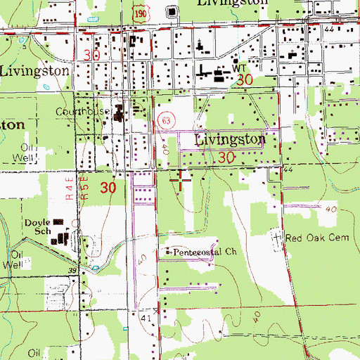 Topographic Map of Town of Livingston, LA