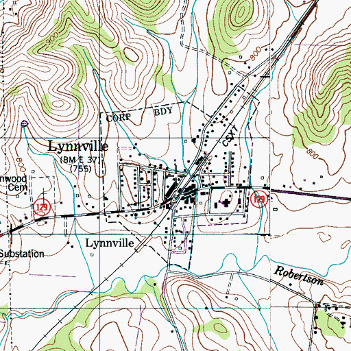 Topographic Map of Town of Lynnville, TN