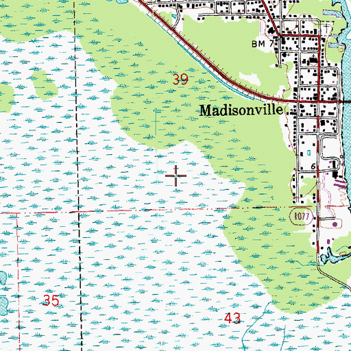 Topographic Map of Town of Madisonville, LA