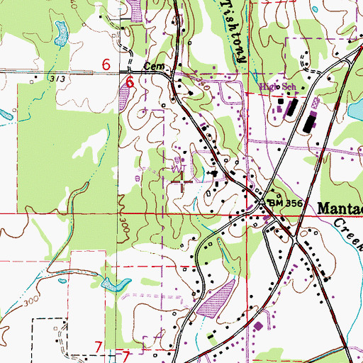 Topographic Map of Town of Mantachie, MS