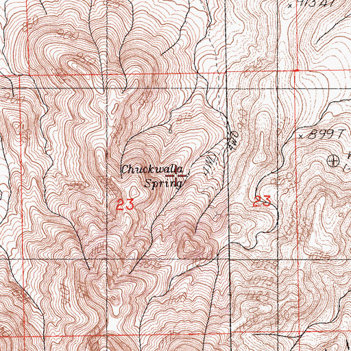 Topographic Map of Chuckwalla Spring, CA