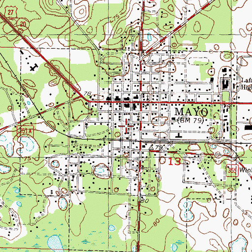Topographic Map of Town of Mayo, FL