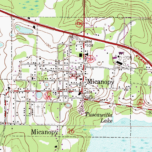 Topographic Map of Town of Micanopy, FL
