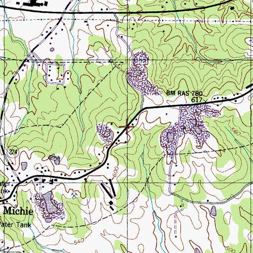 Topographic Map of Town of Michie, TN