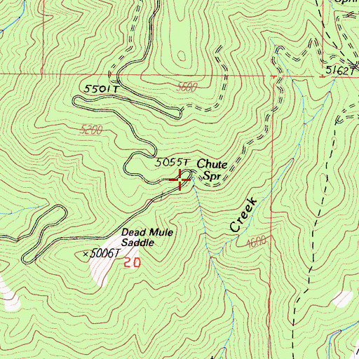 Topographic Map of Chute Spring, CA