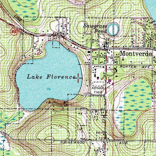 Topographic Map of Town of Montverde, FL