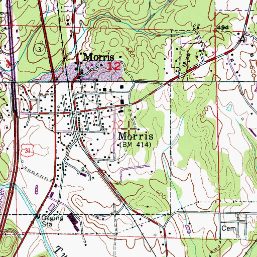 Topographic Map of Town of Morris, AL