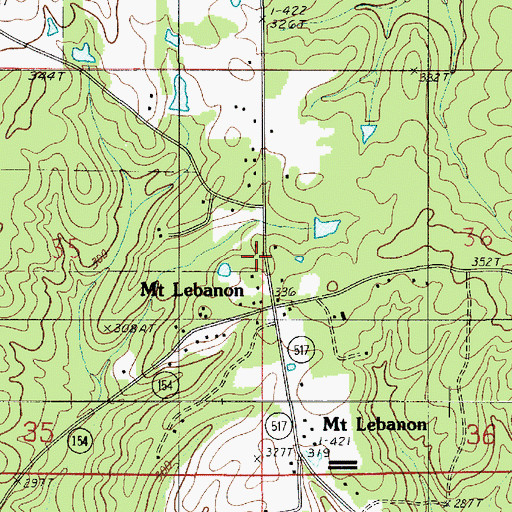 Topographic Map of Town of Mount Lebanon, LA
