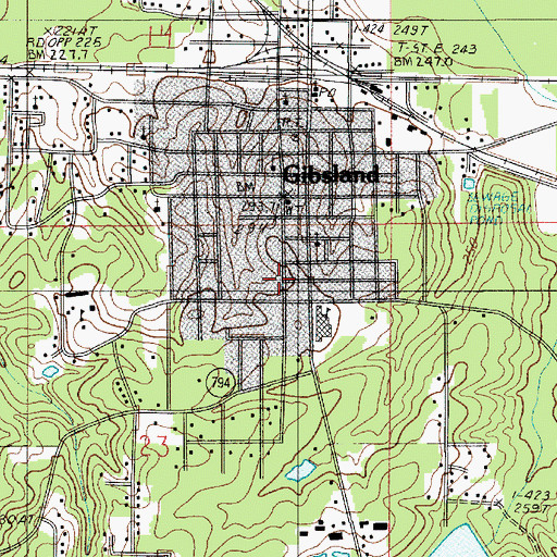 Topographic Map of Town of Gibsland, LA