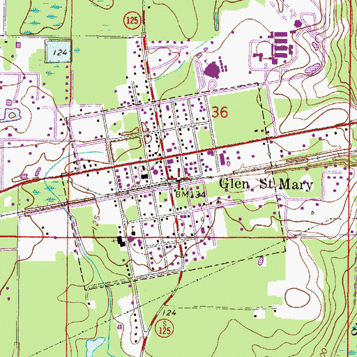 Topographic Map of Town of Glen Saint Mary, FL