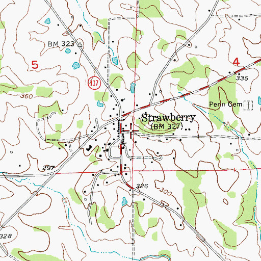 Topographic Map of Town of Strawberry, AR