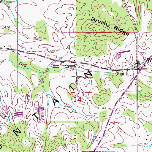 Topographic Map of Town of Susan Moore, AL