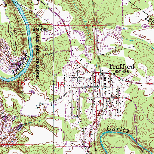 Topographic Map of Town of Trafford, AL