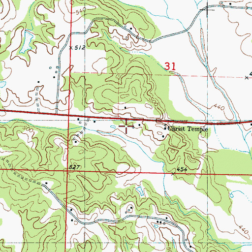 Topographic Map of Town of Walnut, MS