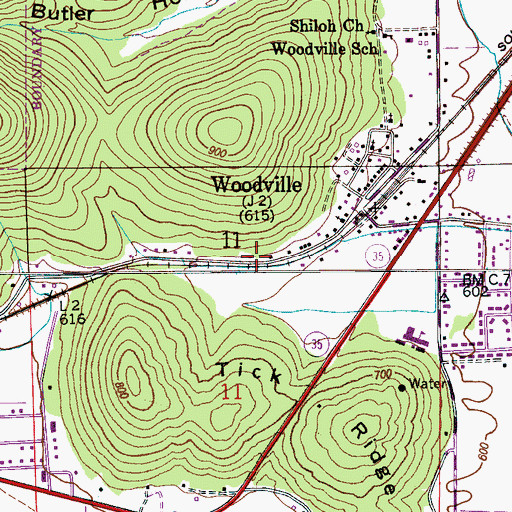 Topographic Map of Town of Woodville, AL