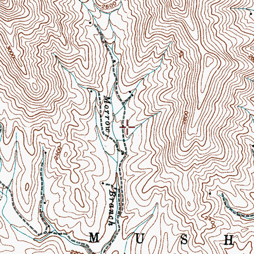 Topographic Map of Township 9, Sandy Mush, NC