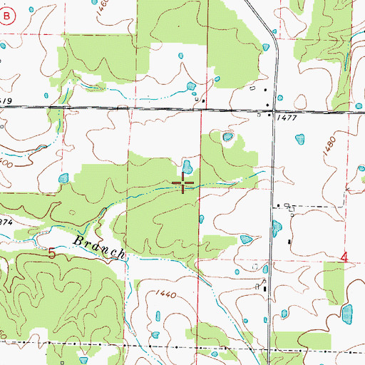 Topographic Map of Township of Benton, MO