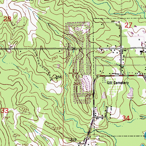 Topographic Map of Town of New Llano, LA