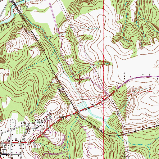 Topographic Map of Town of Newton, AL