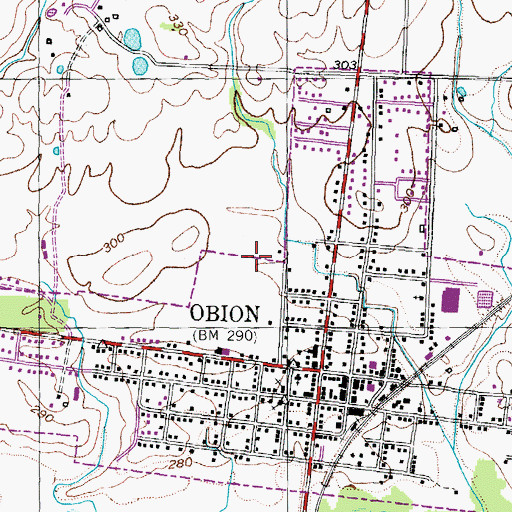 Topographic Map of Town of Obion, TN