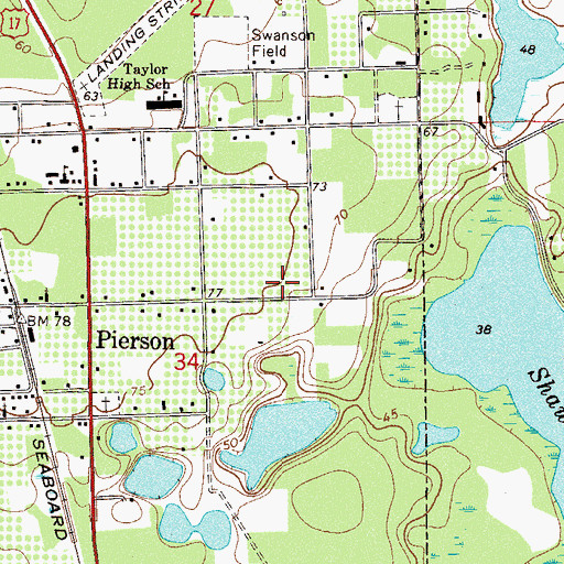 Topographic Map of Town of Pierson, FL