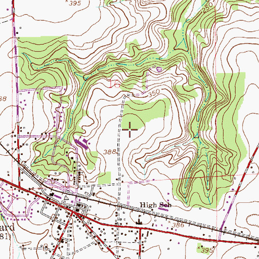Topographic Map of Town of Pinckard, AL