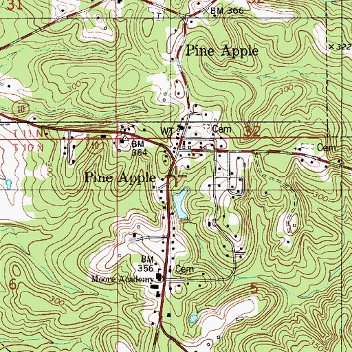Topographic Map of Town of Pine Apple, AL