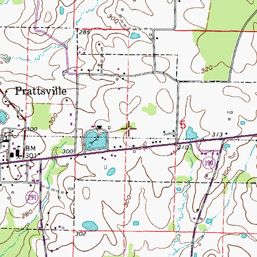 Topographic Map of Town of Prattsville, AR
