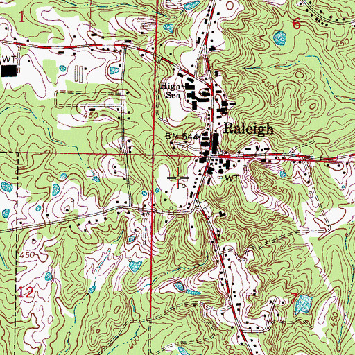 Topographic Map of Town of Raleigh, MS