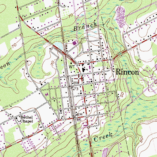 Topographic Map of City of Rincon, GA