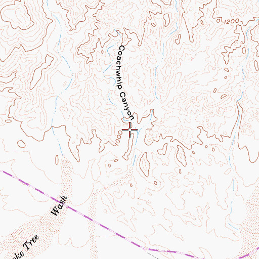 Topographic Map of Coachwhip Canyon, CA