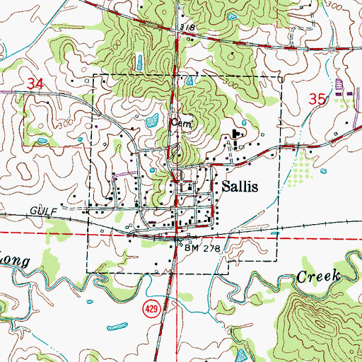 Topographic Map of Town of Sallis, MS