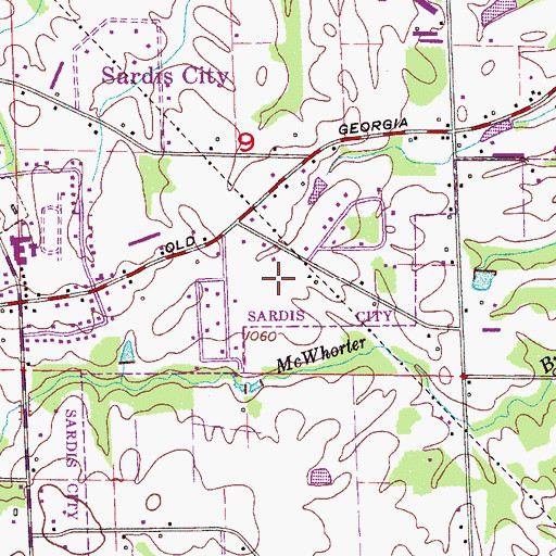 Topographic Map of Town of Sardis City, AL