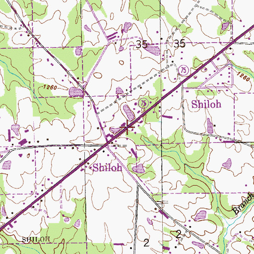 Topographic Map of Town of Shiloh, AL