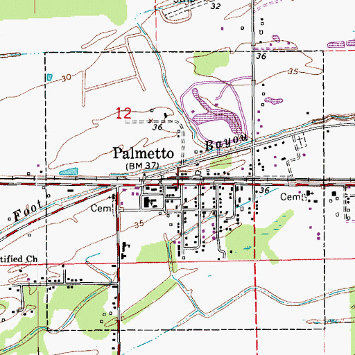Topographic Map of Village of Palmetto, LA