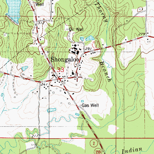 Topographic Map of Village of Shongaloo, LA