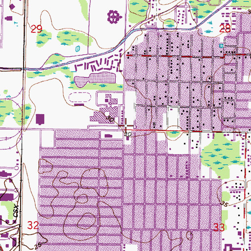 Topographic Map of Leto, FL