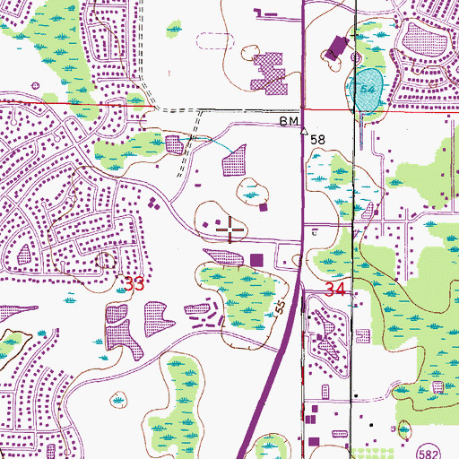 Topographic Map of Northdale, FL