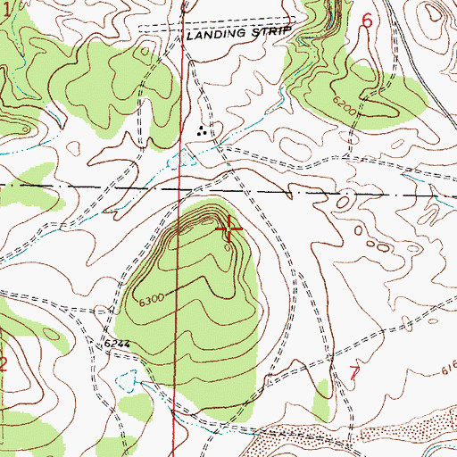 Topographic Map of Alamo Census Designated Place, NM