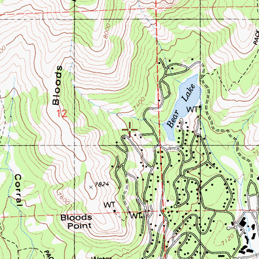 Topographic Map of Bear Valley Census Designated Place, CA