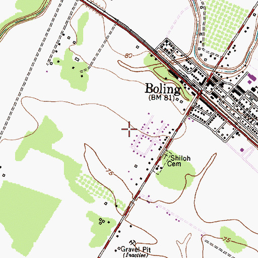 Topographic Map of Boling-Iago Census Designated Place (historical), TX