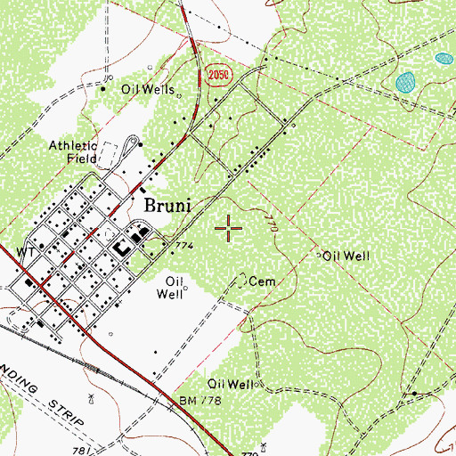 Topographic Map of Bruni Census Designated Place, TX