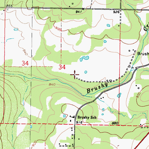 Topographic Map of Brushy Census Designated Place, OK