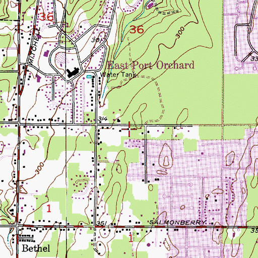 Topographic Map of East Port Orchard Census Designated Place, WA