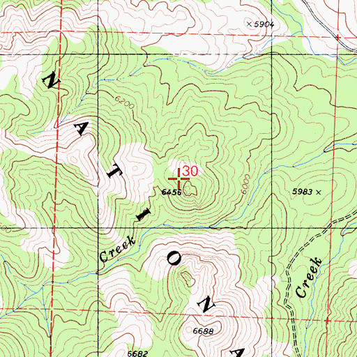 Topographic Map of Markleeville Census Designated Place, CA