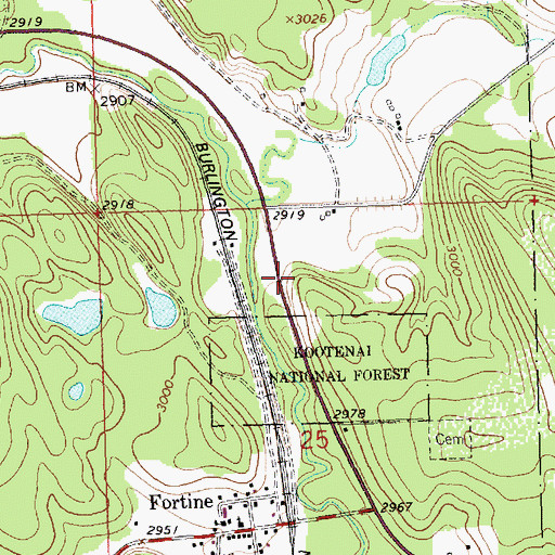 Topographic Map of Fortine Census Designated Place, MT