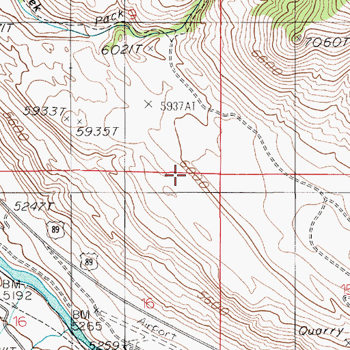 Topographic Map of Gardiner Census Designated Place, MT